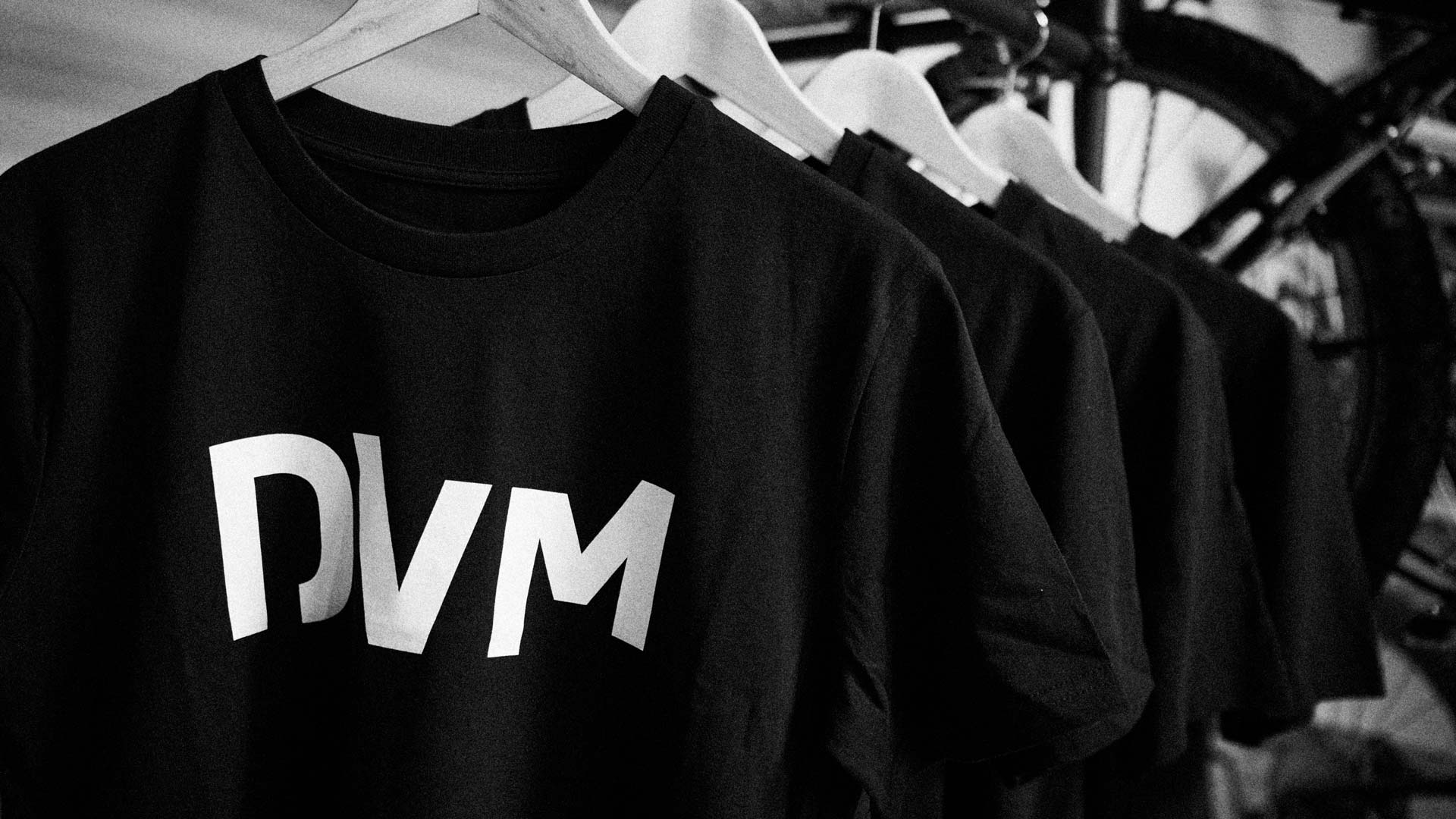 DVM_WEB3