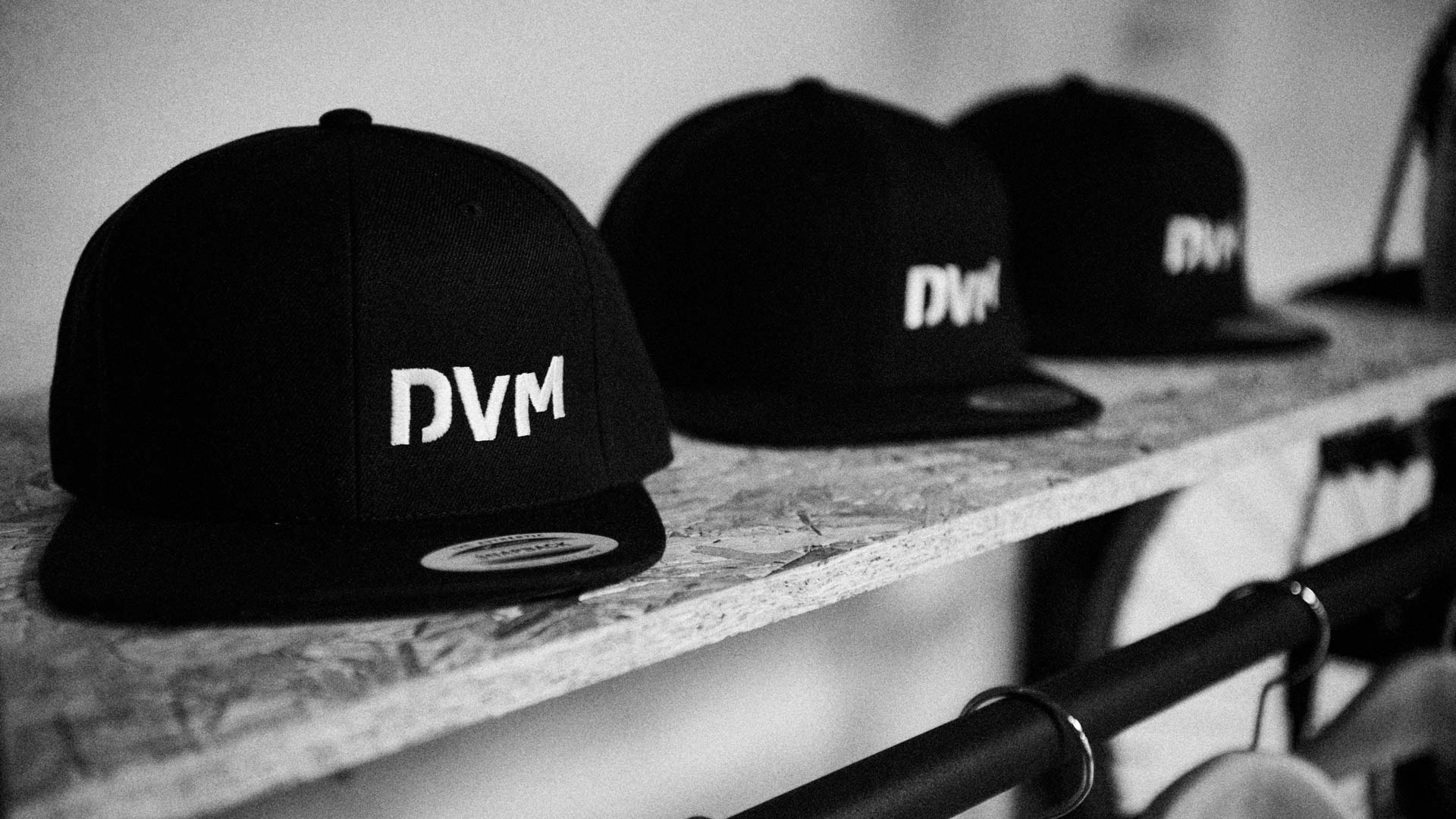 DVM_WEB4