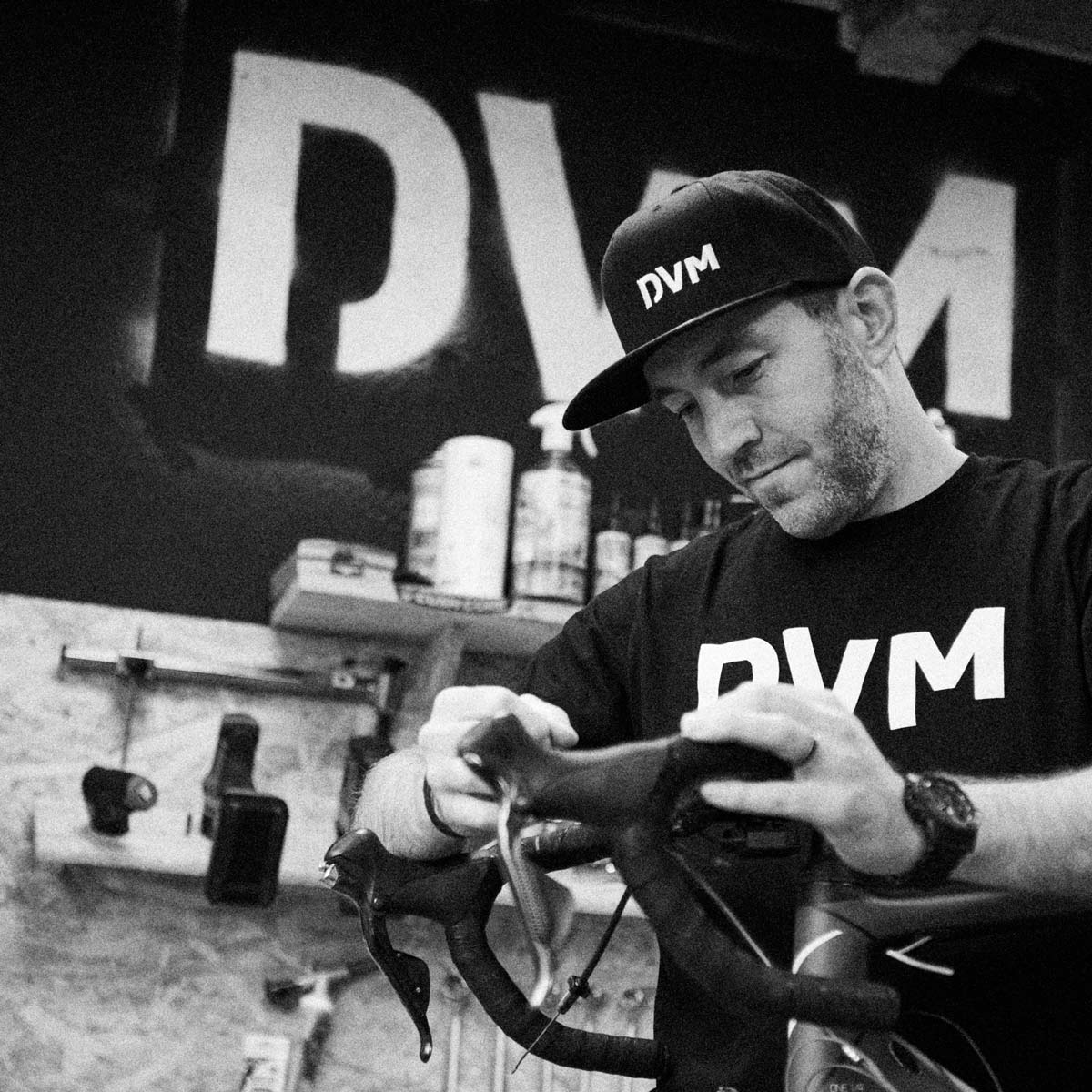 DVM_WEB6