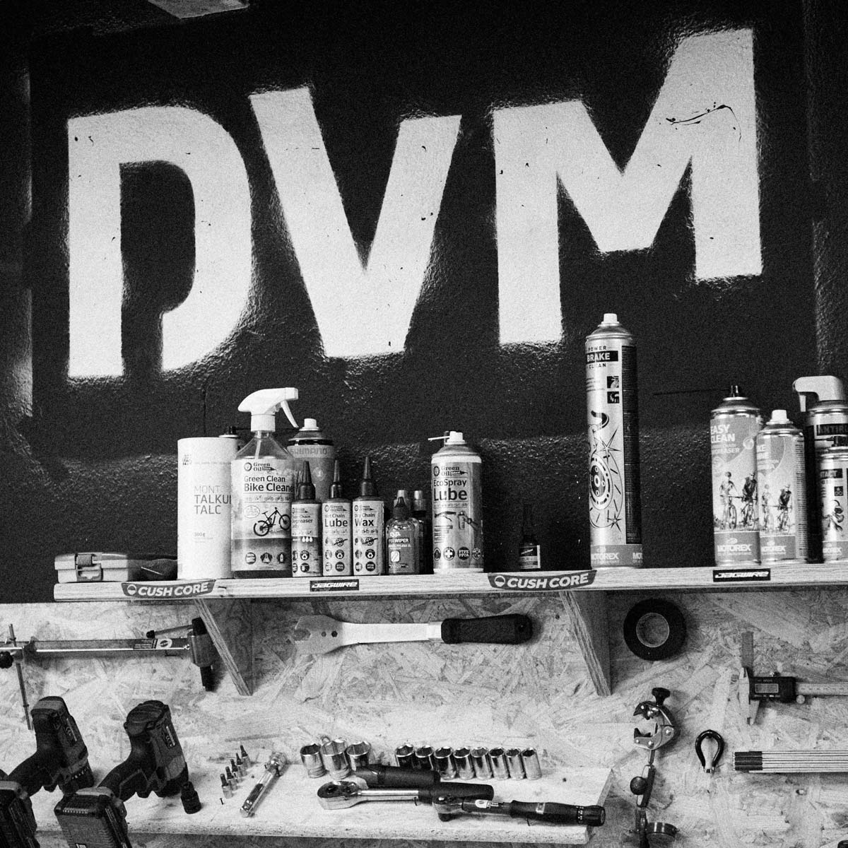 DVM_WEB9