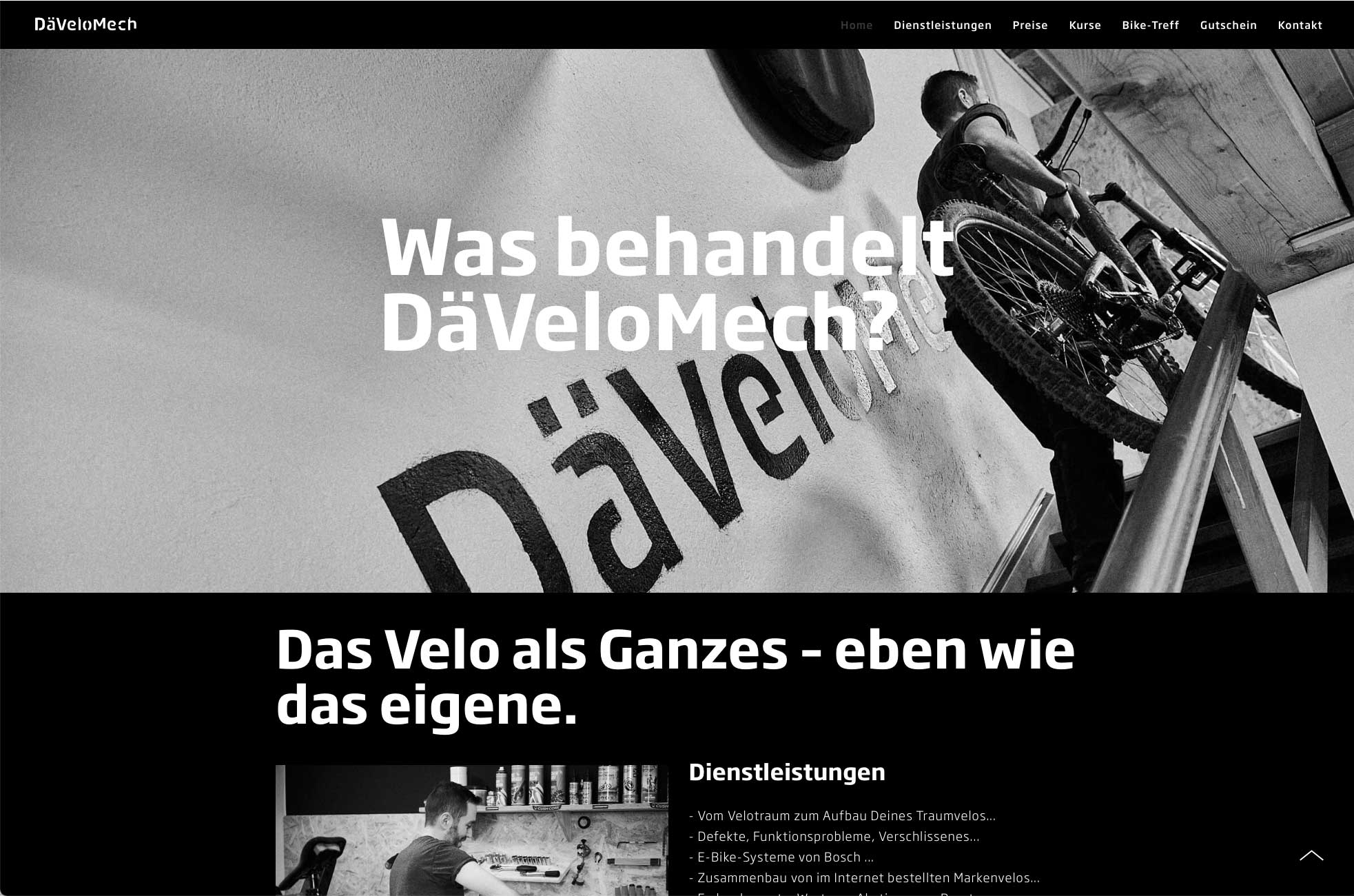 website_dvm_01